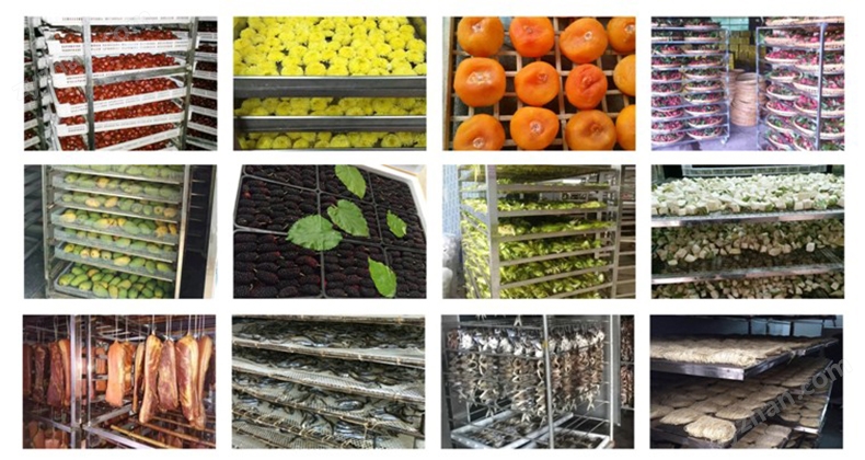 家叶移民再添成功案例！祝贺新西兰移民客户抵纽开启新生活