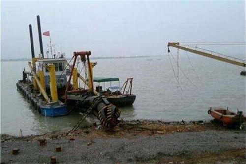 围观！云南天坑生物探秘最新动向→